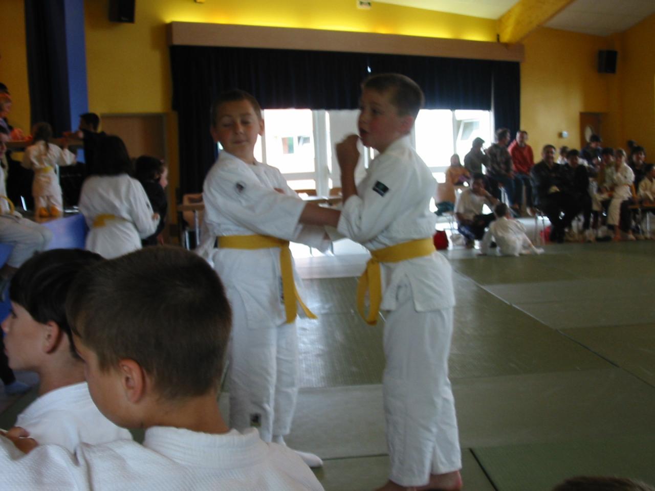 Fête du judo à Voiteur - 2001