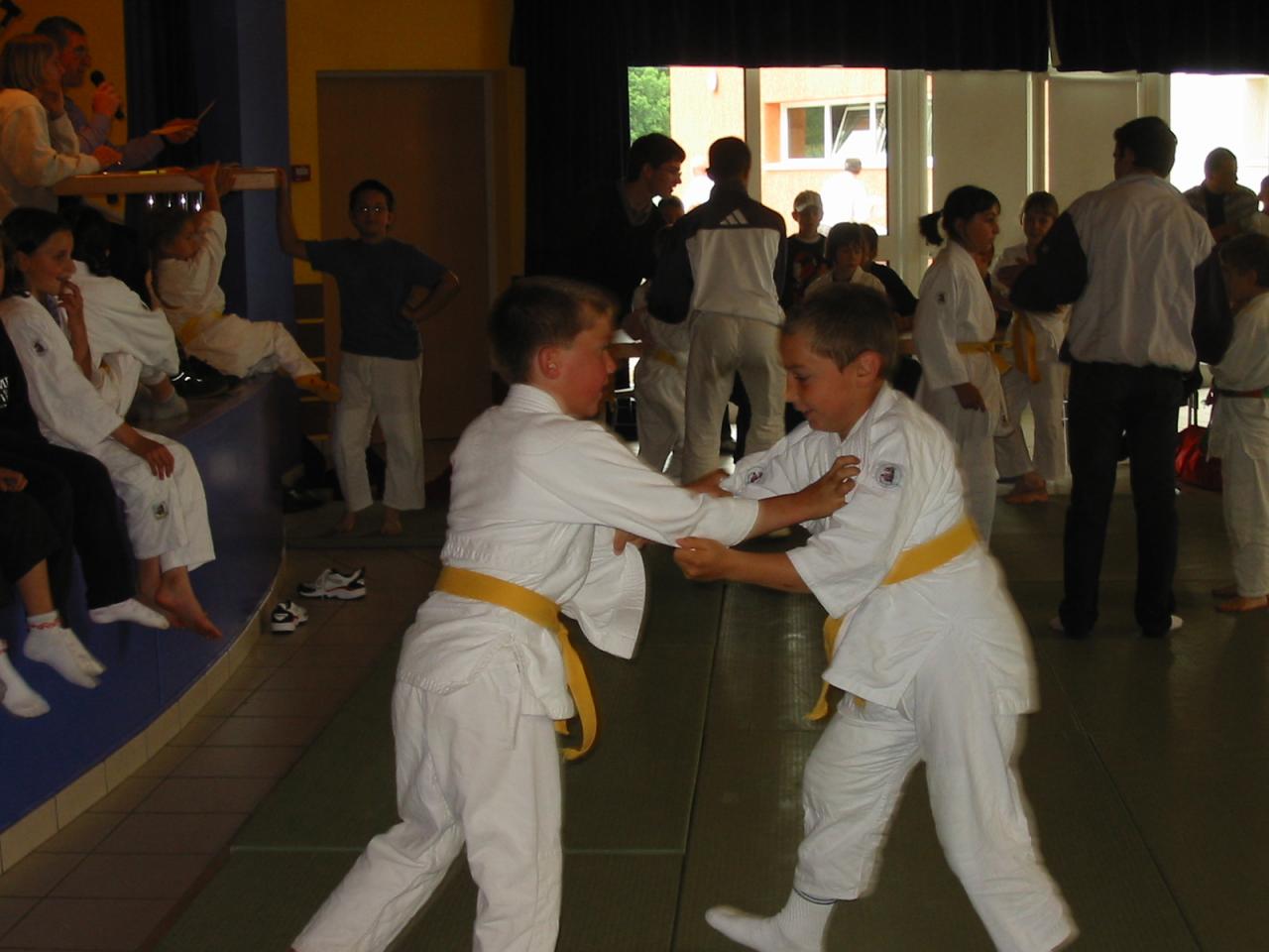 Fête du judo à Voiteur - 2001