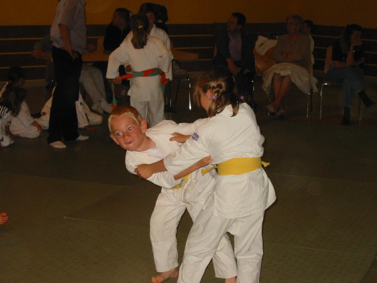 Fête du judo à Voiteur - 2001