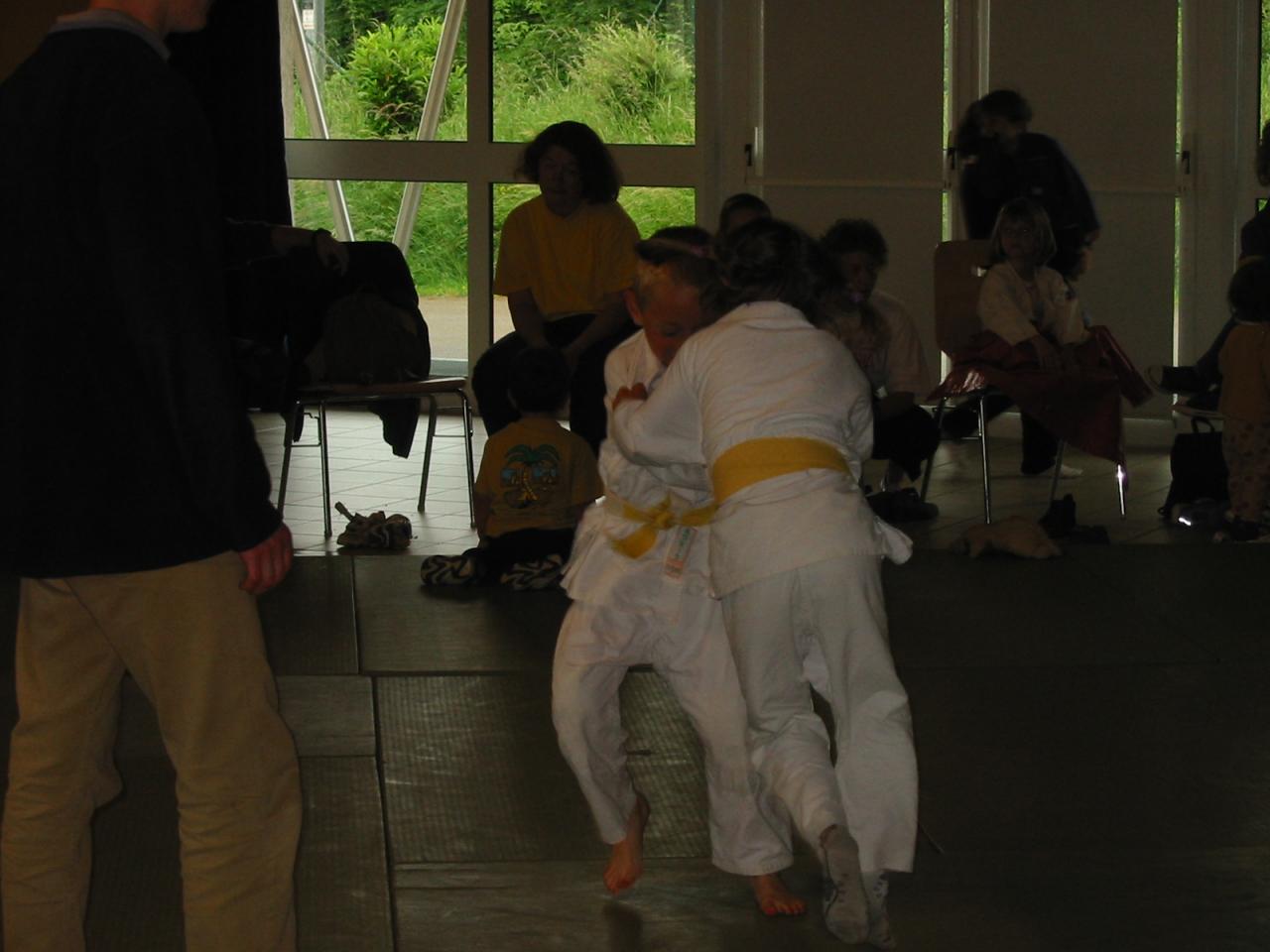 Fête du judo à Voiteur - 2001