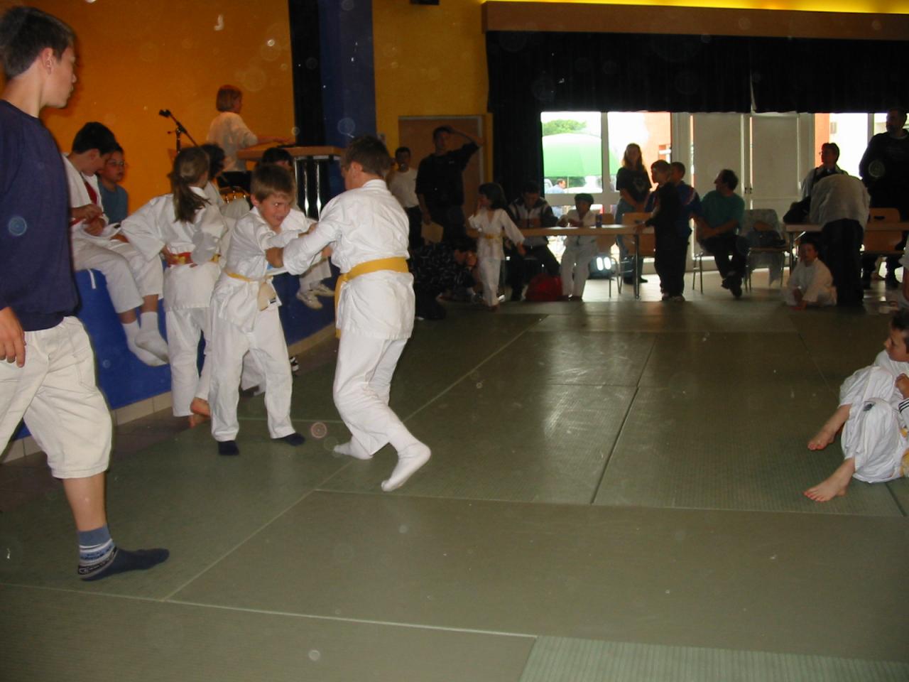 Fête du judo à Voiteur - 2001