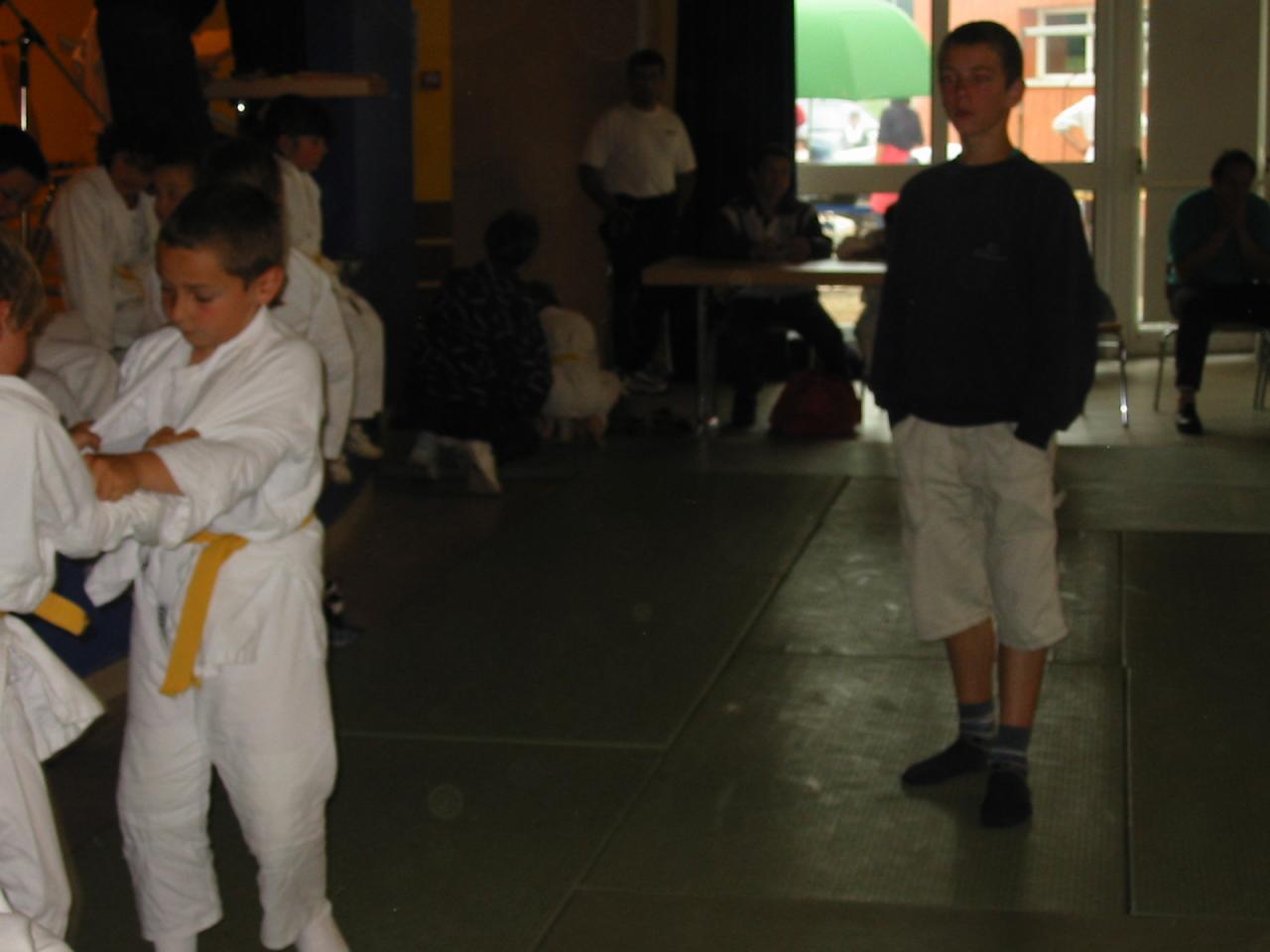 Fête du judo à Voiteur - 2001